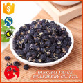 Free sample sell well new type black goji berry for sale